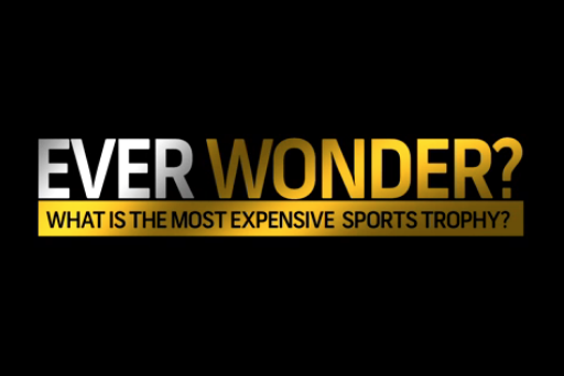 Ever Wonder Most Expensive Trophy in Sports Screenshot