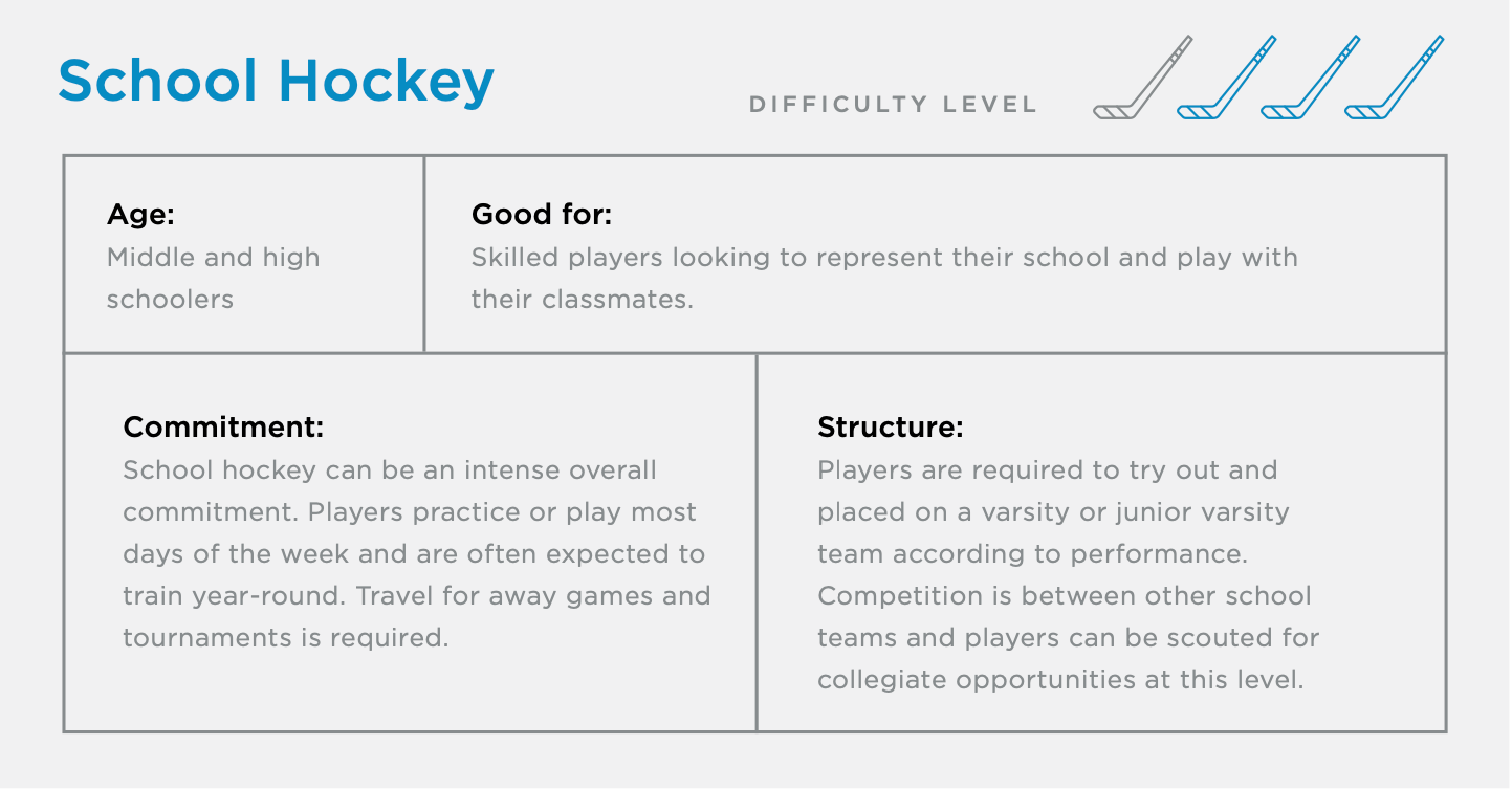New to hockey school hockey section