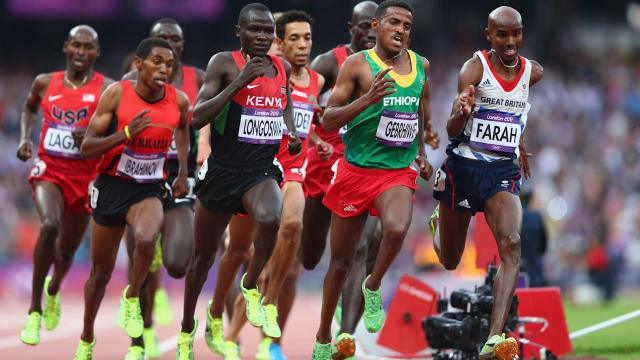 Sport Guide: Long/Middle Distance Running Screenshot