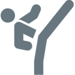 martial-arts-icon