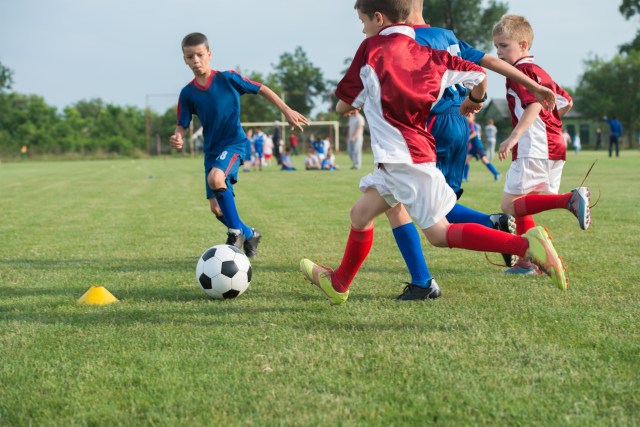 shutterstock_210359746