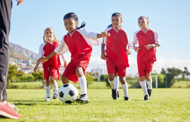 Shutterstock_2253208593